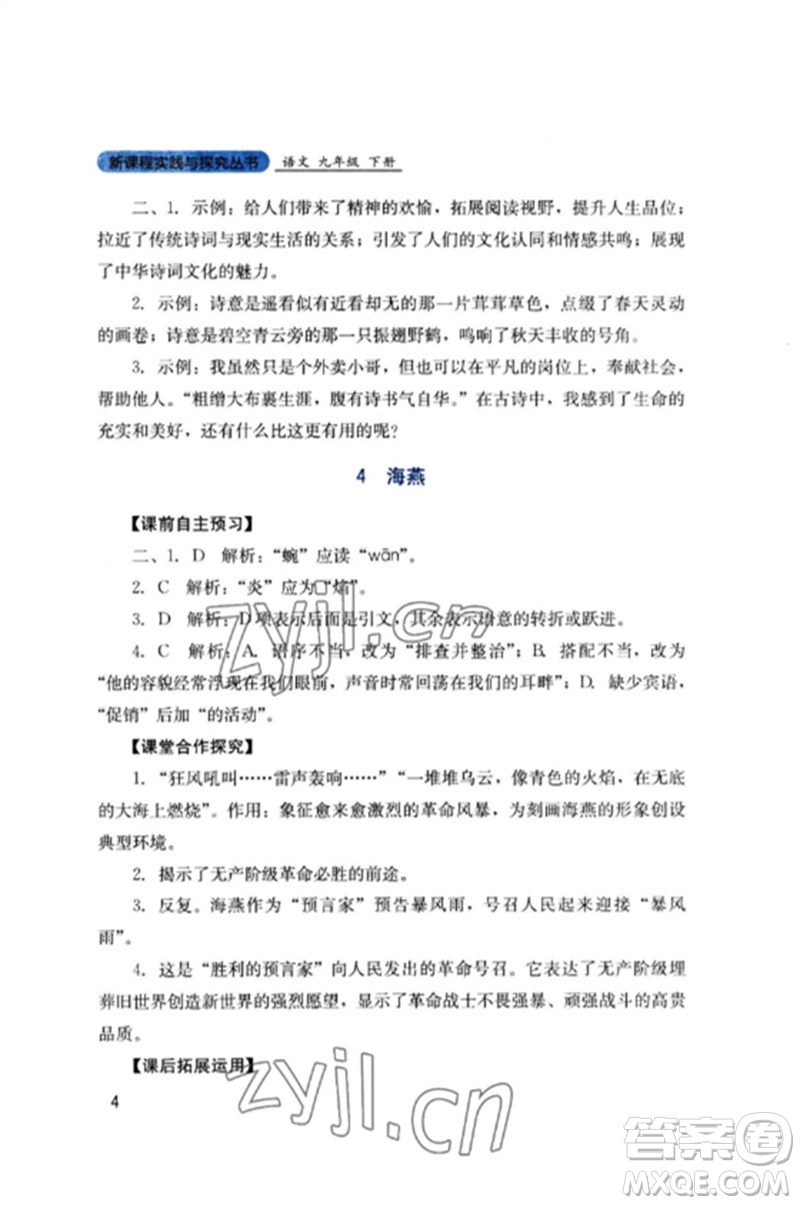 四川教育出版社2023新課程實(shí)踐與探究叢書九年級(jí)語文下冊(cè)人教版參考答案