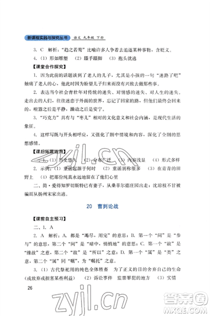 四川教育出版社2023新課程實(shí)踐與探究叢書九年級(jí)語文下冊(cè)人教版參考答案