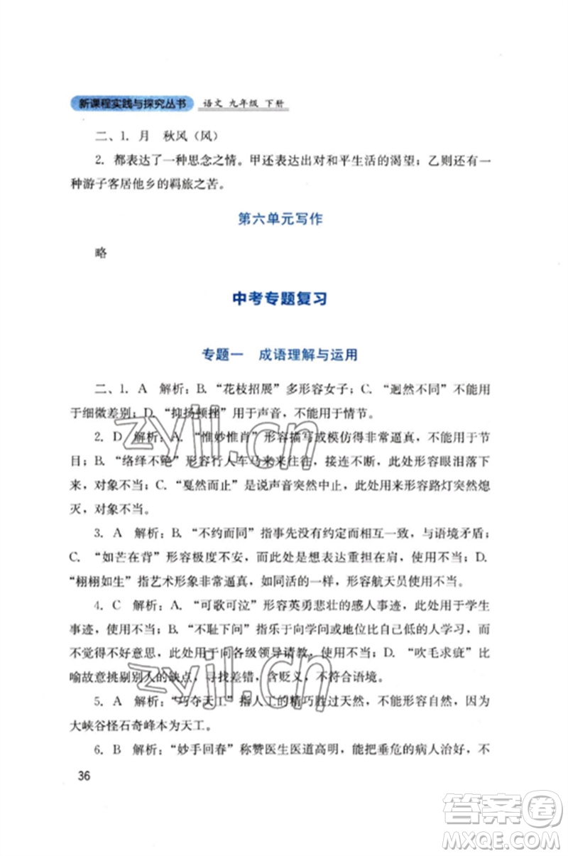 四川教育出版社2023新課程實(shí)踐與探究叢書九年級(jí)語文下冊(cè)人教版參考答案