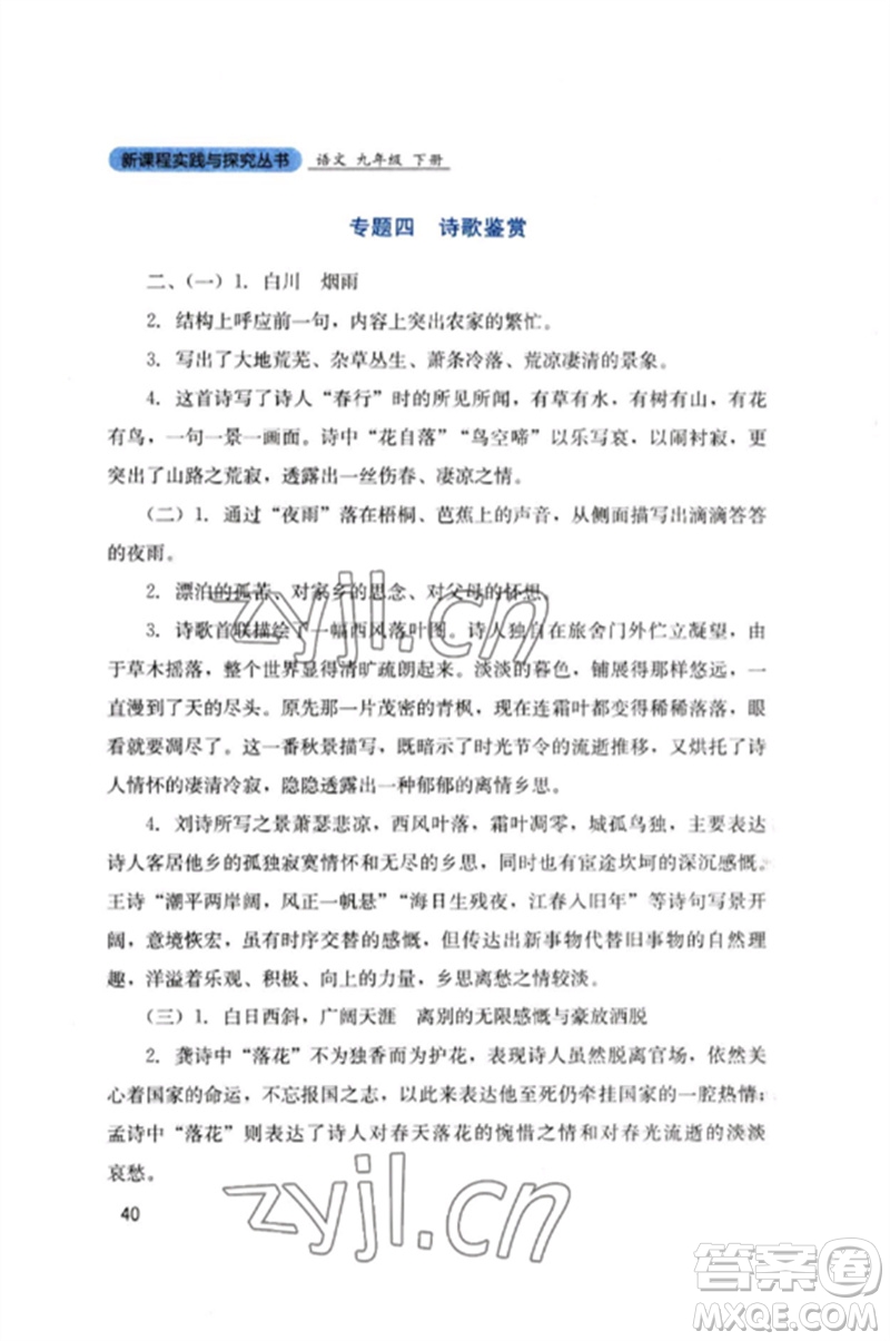 四川教育出版社2023新課程實(shí)踐與探究叢書九年級(jí)語文下冊(cè)人教版參考答案