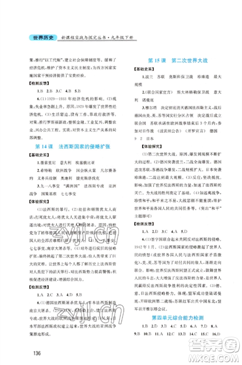 四川教育出版社2023新課程實踐與探究叢書九年級世界歷史下冊人教版河南專版參考答案