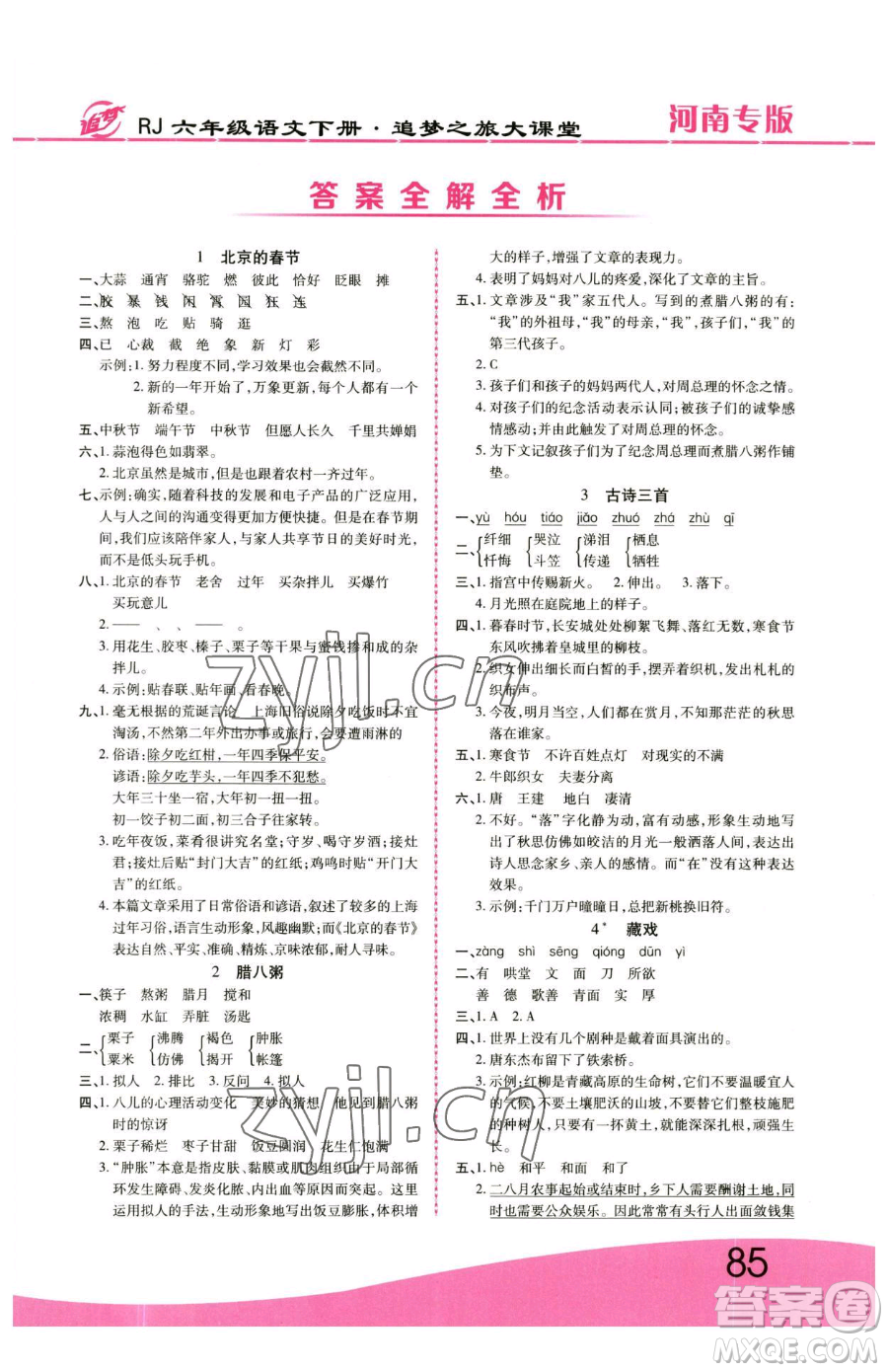 天津科學(xué)技術(shù)出版社2023追夢(mèng)之旅大課堂六年級(jí)下冊(cè)語(yǔ)文人教版河南專(zhuān)版參考答案