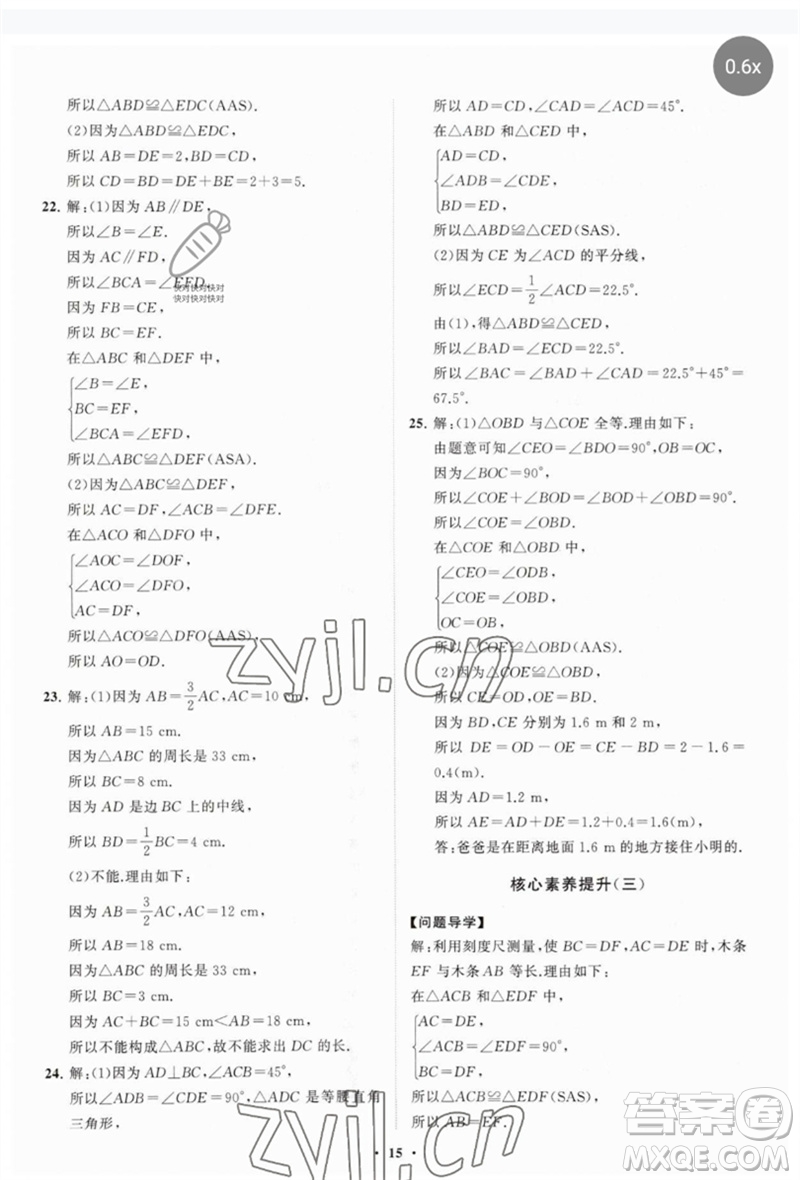 山東教育出版社2023初中同步練習(xí)冊(cè)分層卷七年級(jí)數(shù)學(xué)下冊(cè)北師大版參考答案