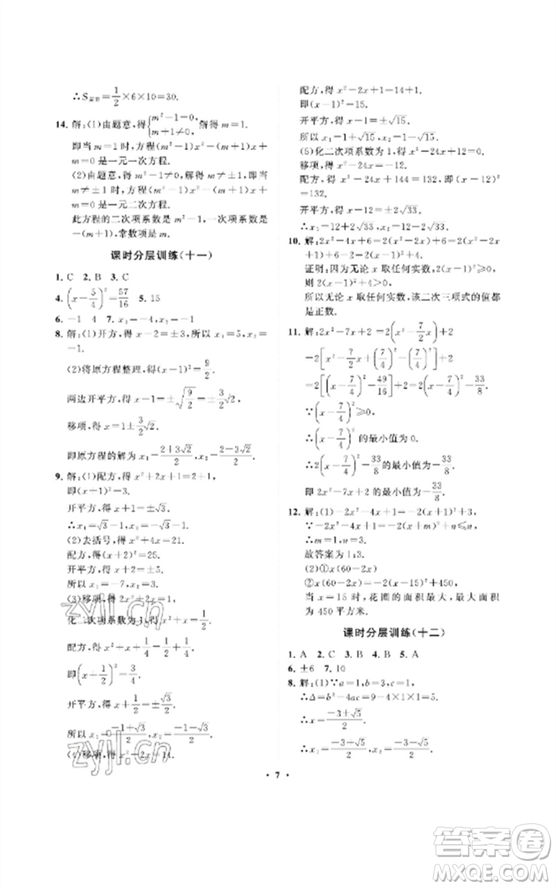山東教育出版社2023初中同步練習(xí)冊分層卷八年級數(shù)學(xué)下冊魯教版五四制參考答案
