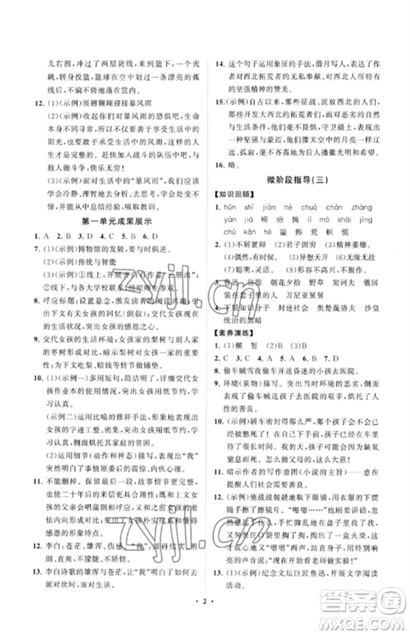 山東教育出版社2023初中同步練習(xí)冊(cè)分層卷九年級(jí)語(yǔ)文下冊(cè)人教版參考答案
