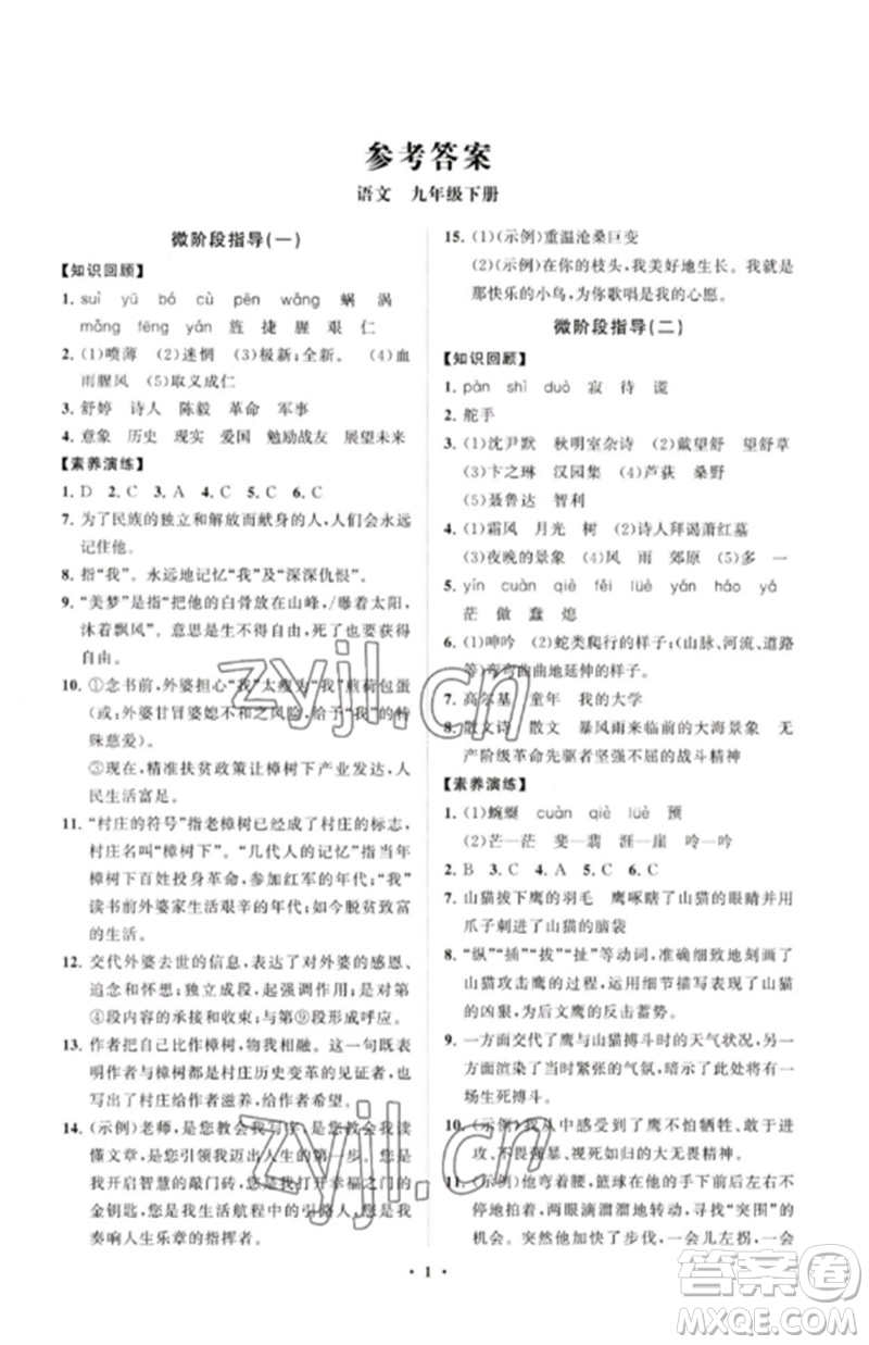 山東教育出版社2023初中同步練習(xí)冊(cè)分層卷九年級(jí)語(yǔ)文下冊(cè)人教版參考答案
