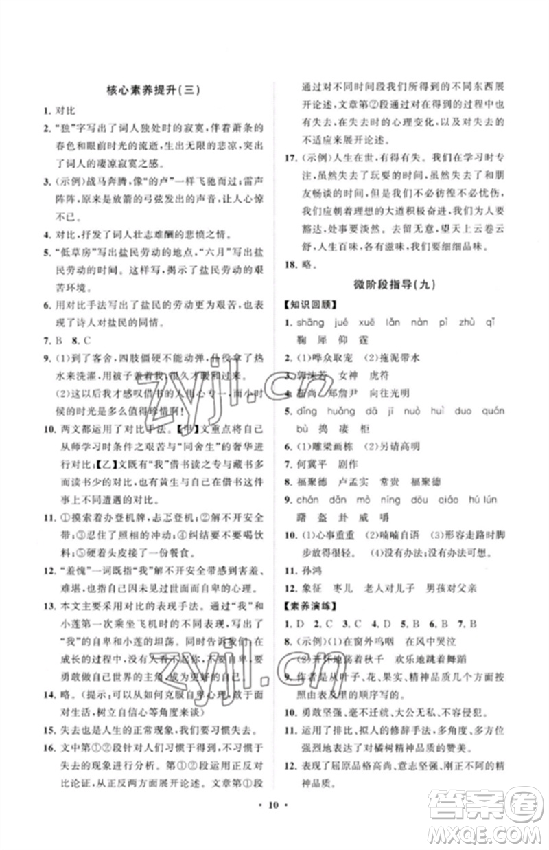 山東教育出版社2023初中同步練習(xí)冊(cè)分層卷九年級(jí)語(yǔ)文下冊(cè)人教版參考答案