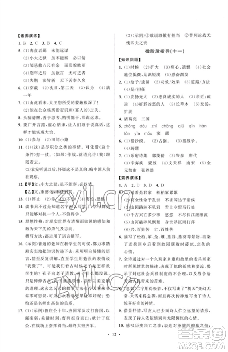 山東教育出版社2023初中同步練習(xí)冊(cè)分層卷九年級(jí)語(yǔ)文下冊(cè)人教版參考答案