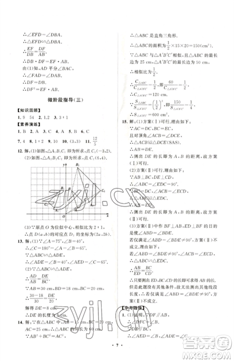 山東教育出版社2023初中同步練習(xí)冊(cè)分層卷九年級(jí)數(shù)學(xué)下冊(cè)人教版參考答案