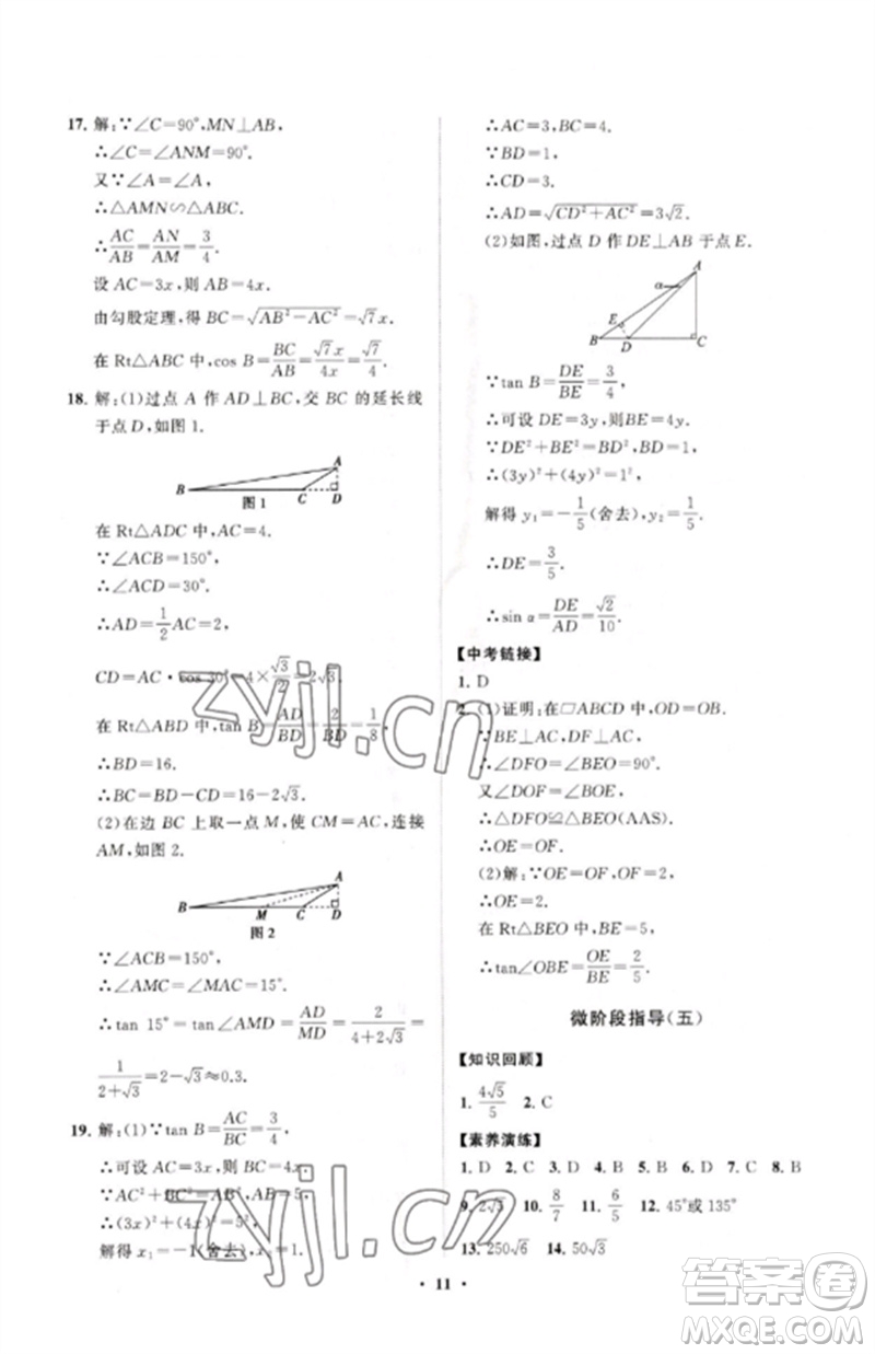 山東教育出版社2023初中同步練習(xí)冊(cè)分層卷九年級(jí)數(shù)學(xué)下冊(cè)人教版參考答案