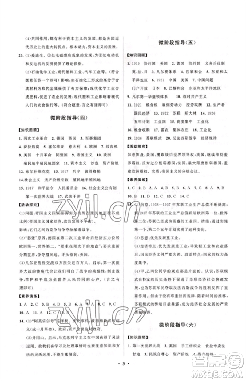 山東教育出版社2023初中同步練習(xí)冊(cè)分層卷九年級(jí)世界歷史下冊(cè)人教版參考答案