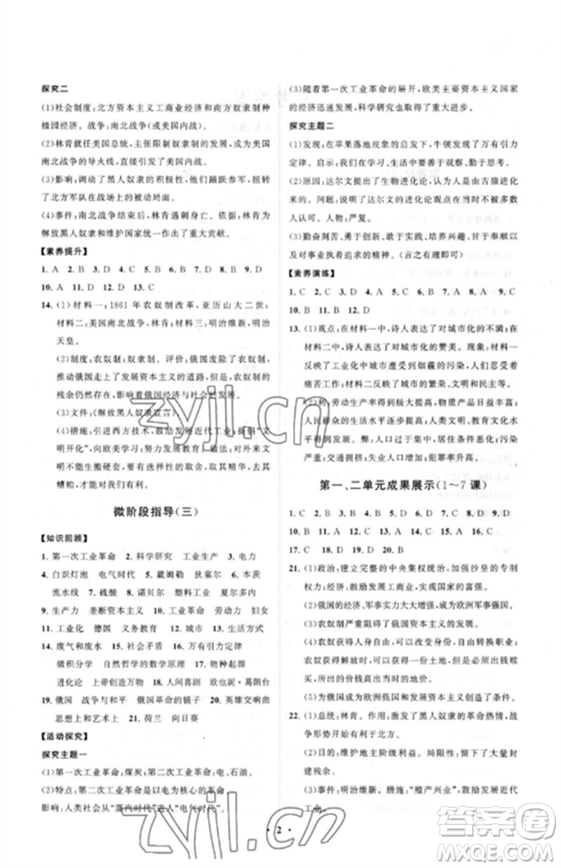 山東教育出版社2023初中同步練習(xí)冊(cè)分層卷九年級(jí)世界歷史下冊(cè)人教版參考答案