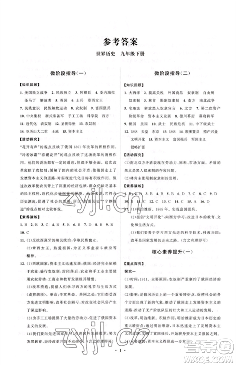 山東教育出版社2023初中同步練習(xí)冊(cè)分層卷九年級(jí)世界歷史下冊(cè)人教版參考答案
