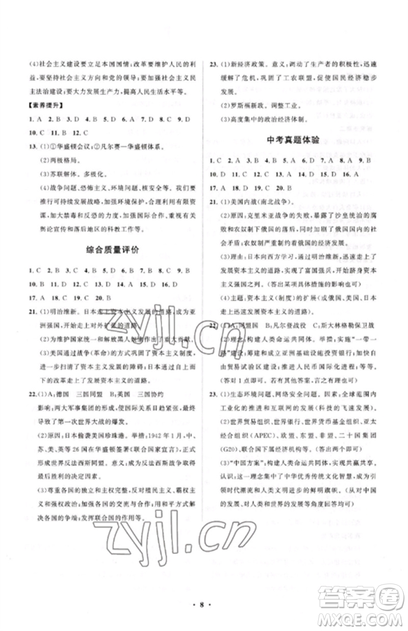 山東教育出版社2023初中同步練習(xí)冊(cè)分層卷九年級(jí)世界歷史下冊(cè)人教版參考答案