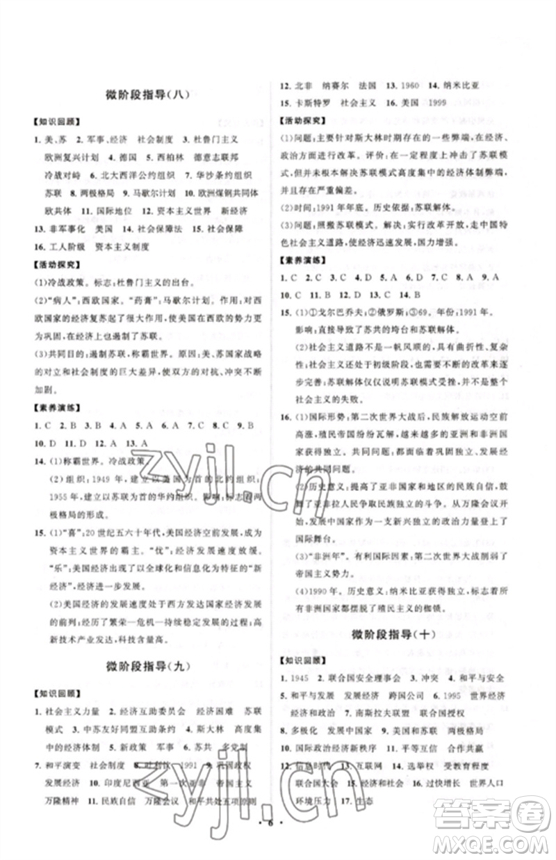 山東教育出版社2023初中同步練習(xí)冊(cè)分層卷九年級(jí)世界歷史下冊(cè)人教版參考答案
