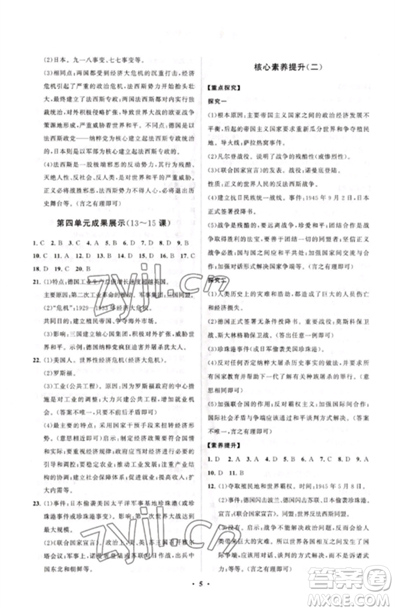 山東教育出版社2023初中同步練習(xí)冊(cè)分層卷九年級(jí)世界歷史下冊(cè)人教版參考答案