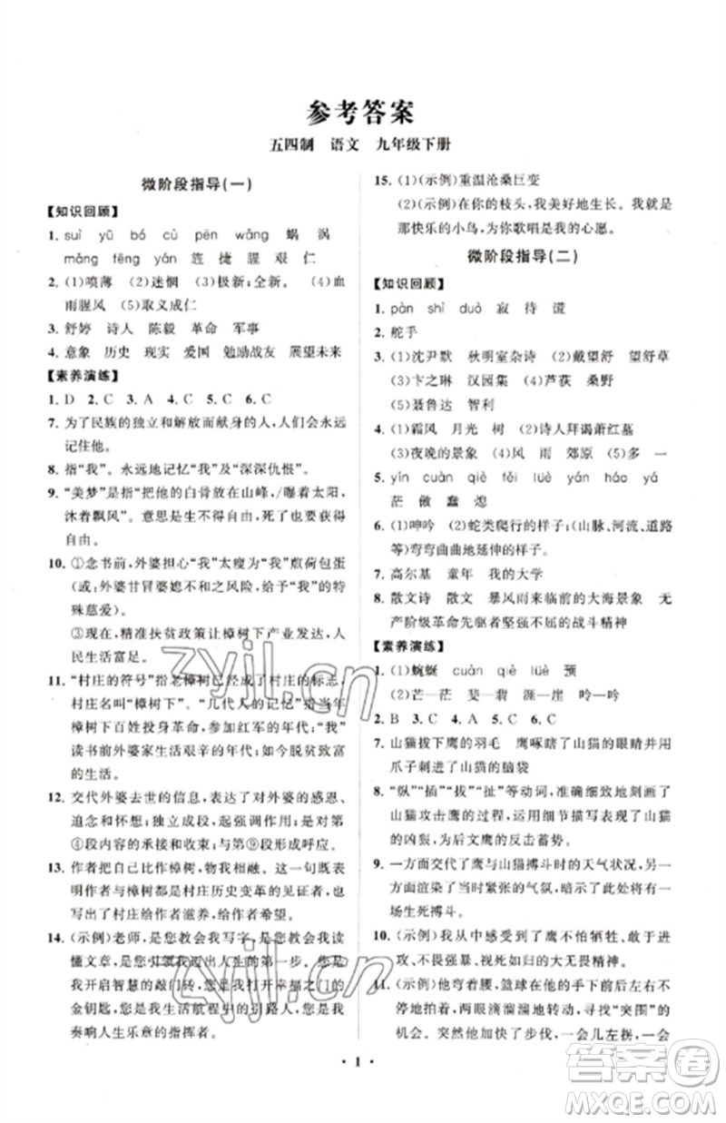 山東教育出版社2023初中同步練習(xí)冊(cè)分層卷九年級(jí)語文下冊(cè)人教版五四制參考答案