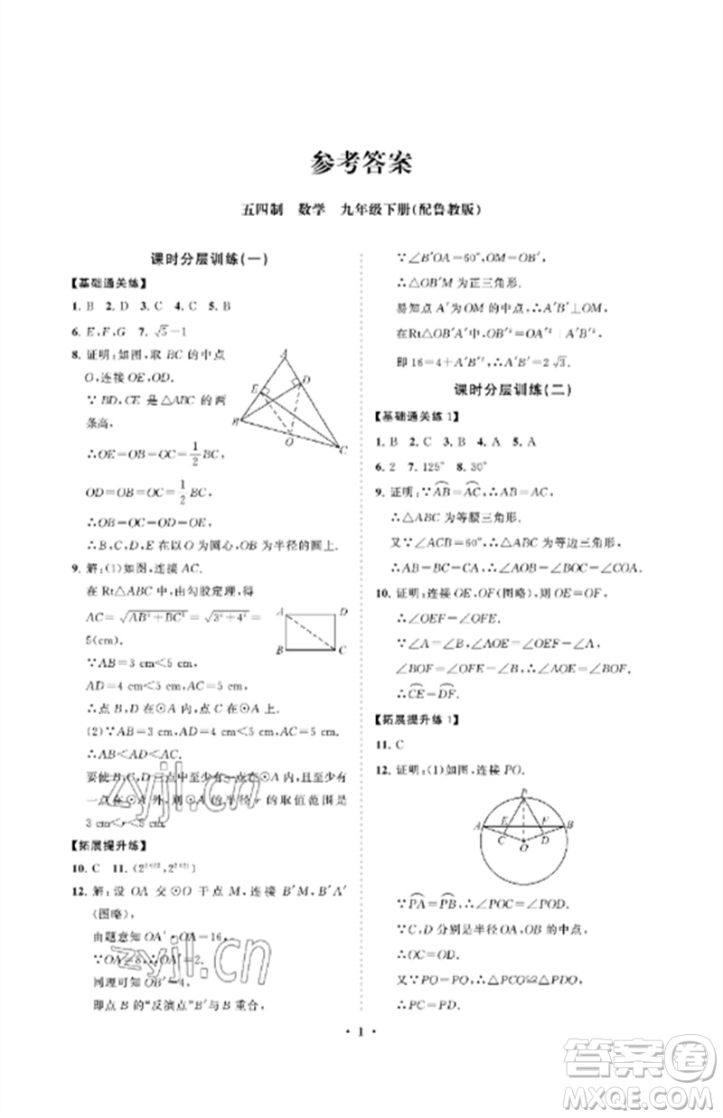山東教育出版社2023初中同步練習(xí)冊(cè)分層卷九年級(jí)數(shù)學(xué)下冊(cè)魯教版五四制參考答案