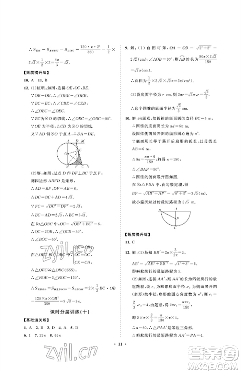 山東教育出版社2023初中同步練習(xí)冊(cè)分層卷九年級(jí)數(shù)學(xué)下冊(cè)魯教版五四制參考答案