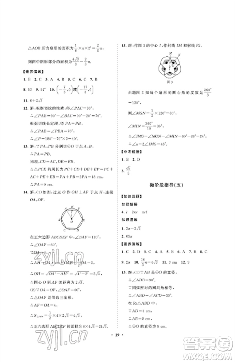 山東教育出版社2023初中同步練習(xí)冊(cè)分層卷九年級(jí)數(shù)學(xué)下冊(cè)魯教版五四制參考答案