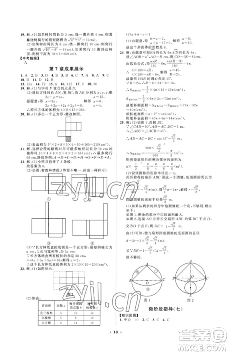 山東教育出版社2023初中同步練習(xí)冊(cè)分層卷九年級(jí)數(shù)學(xué)下冊(cè)青島版參考答案