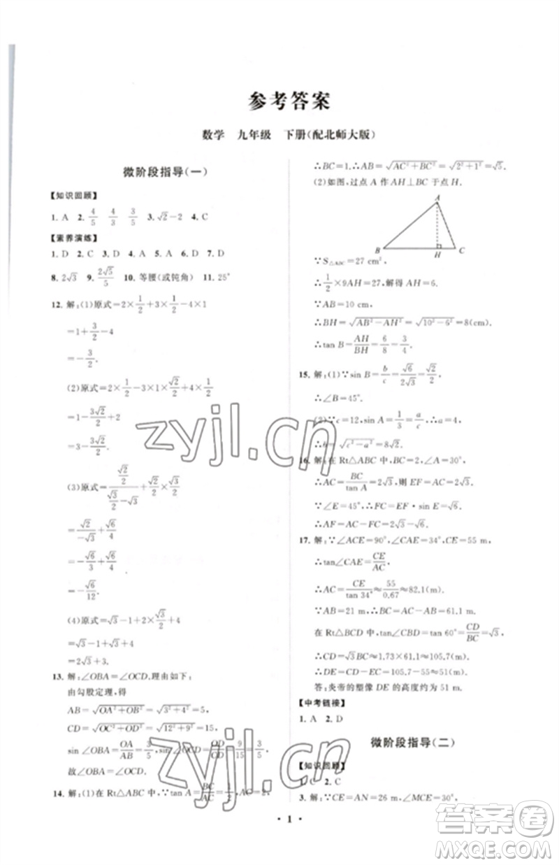 山東教育出版社2023初中同步練習冊分層卷九年級數(shù)學下冊北師大版參考答案