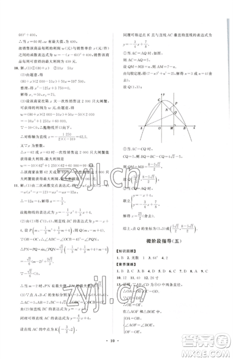 山東教育出版社2023初中同步練習冊分層卷九年級數(shù)學下冊北師大版參考答案