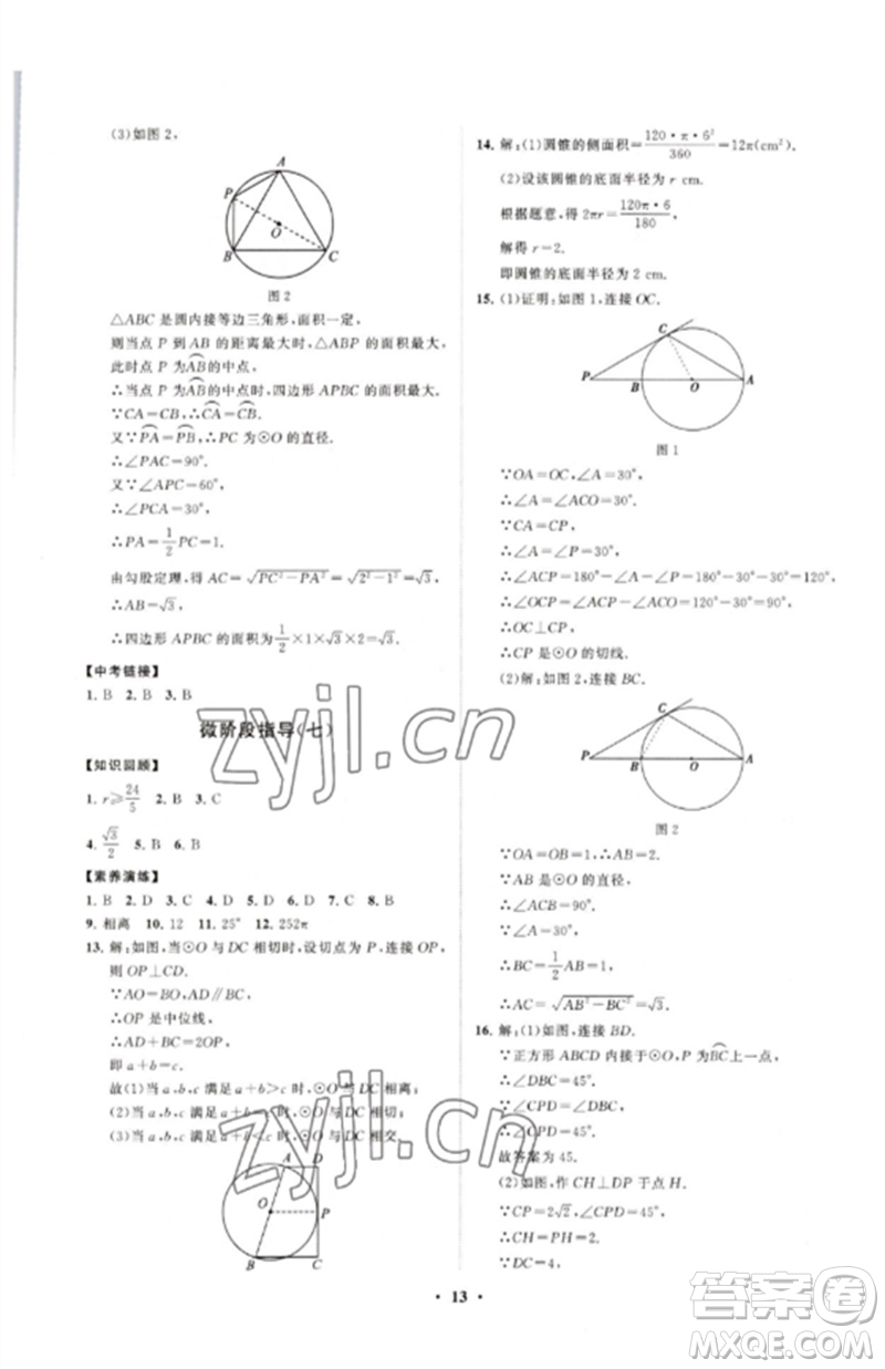 山東教育出版社2023初中同步練習冊分層卷九年級數(shù)學下冊北師大版參考答案