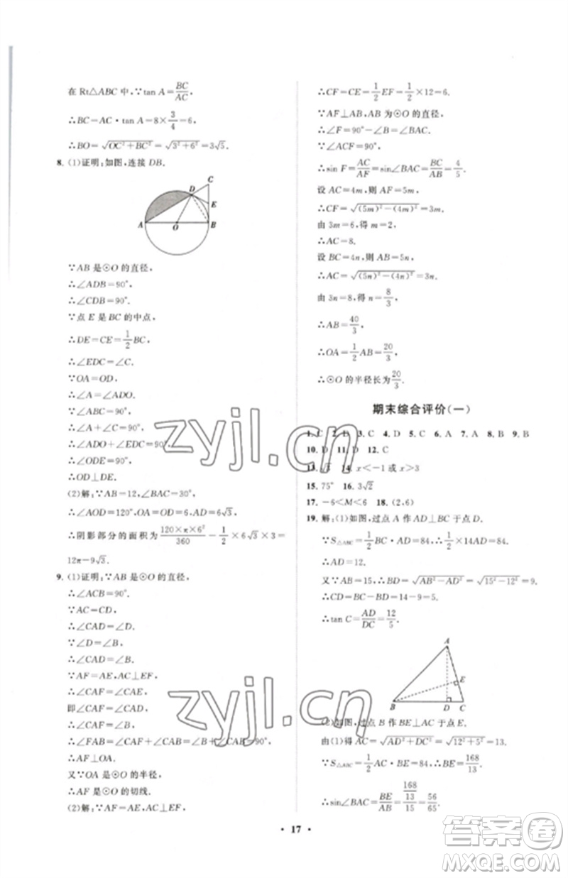 山東教育出版社2023初中同步練習冊分層卷九年級數(shù)學下冊北師大版參考答案