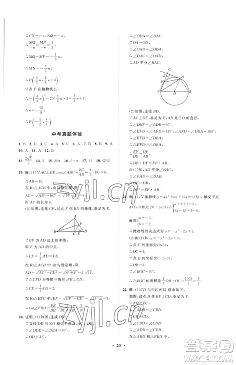 山東教育出版社2023初中同步練習冊分層卷九年級數(shù)學下冊北師大版參考答案