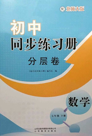 山東教育出版社2023初中同步練習(xí)冊(cè)分層卷七年級(jí)數(shù)學(xué)下冊(cè)北師大版參考答案
