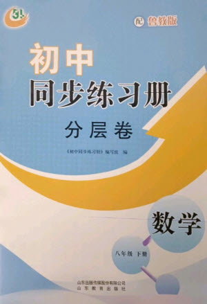 山東教育出版社2023初中同步練習(xí)冊分層卷八年級數(shù)學(xué)下冊魯教版五四制參考答案