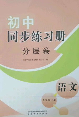 山東教育出版社2023初中同步練習(xí)冊(cè)分層卷九年級(jí)語(yǔ)文下冊(cè)人教版參考答案