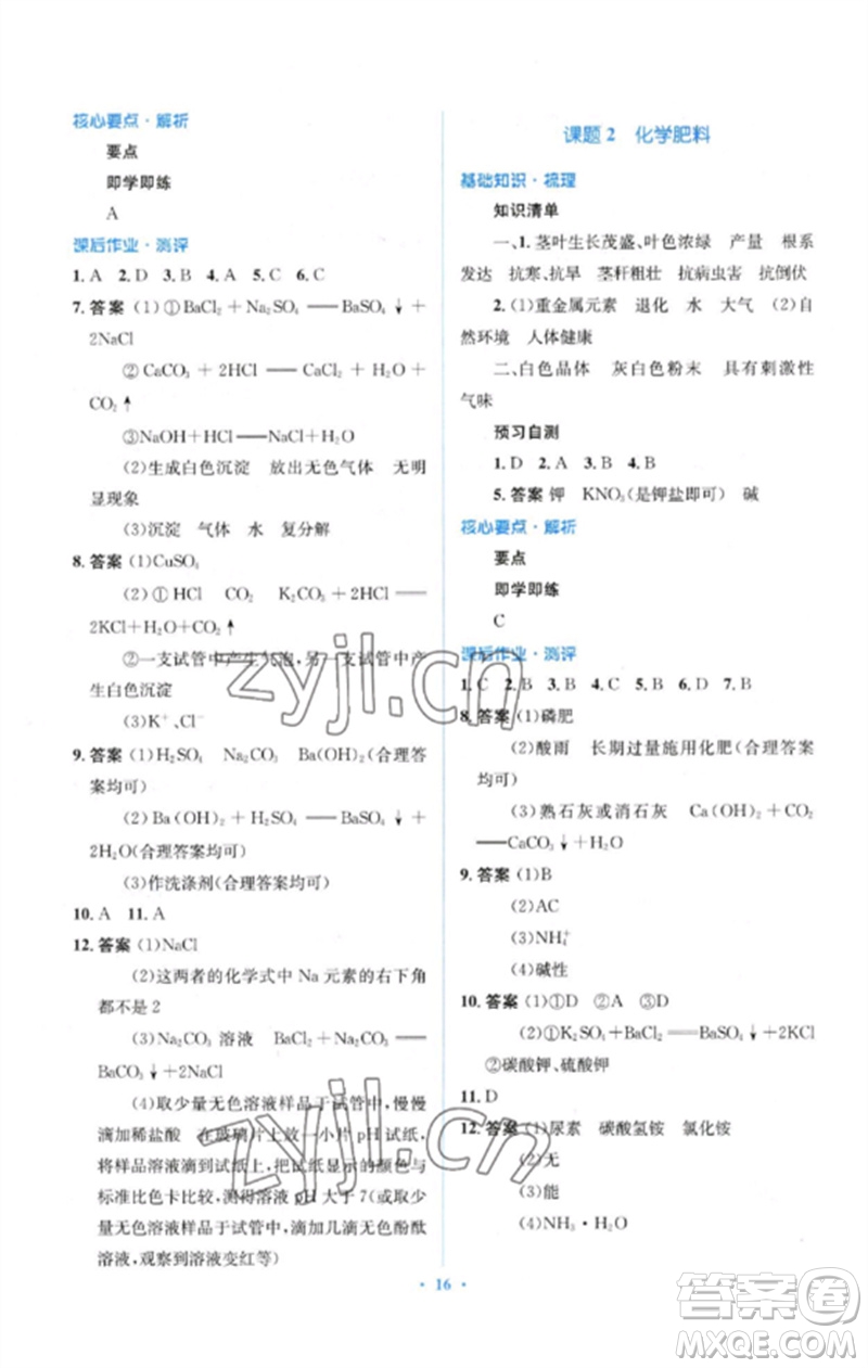 人民教育出版社2023人教金學(xué)典同步解析與測評學(xué)考練九年級化學(xué)下冊人教版參考答案