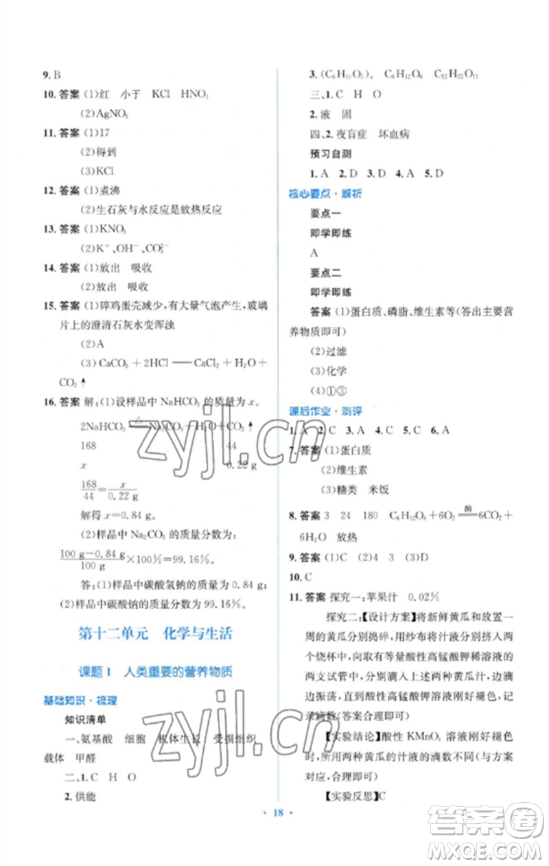 人民教育出版社2023人教金學(xué)典同步解析與測評學(xué)考練九年級化學(xué)下冊人教版參考答案