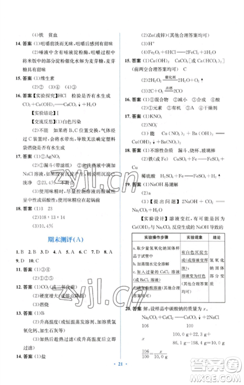 人民教育出版社2023人教金學(xué)典同步解析與測評學(xué)考練九年級化學(xué)下冊人教版參考答案
