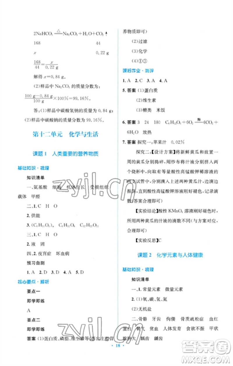 人民教育出版社2023人教金學(xué)典同步解析與測評學(xué)考練九年級化學(xué)下冊人教版廣東專版參考答案
