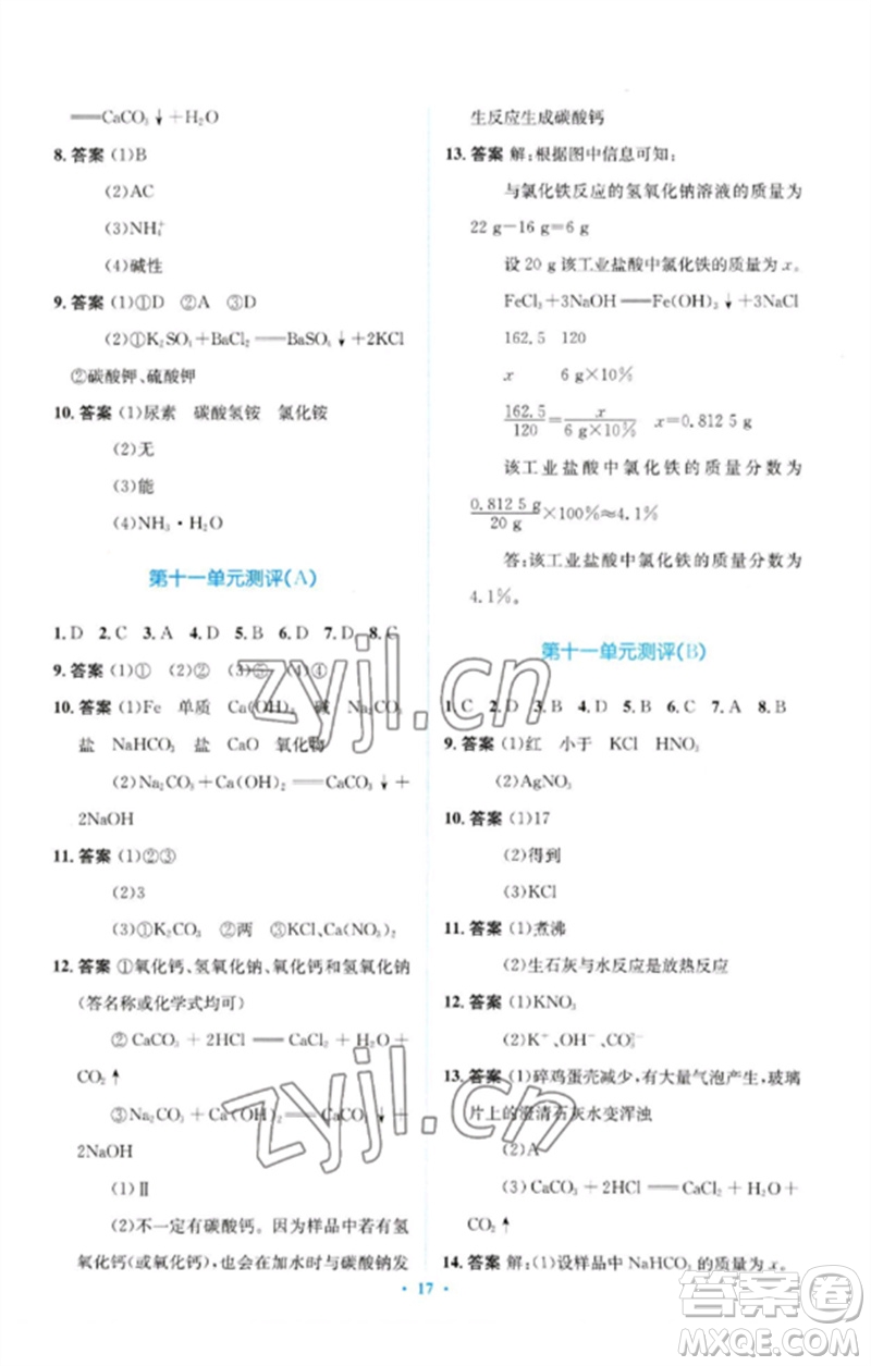 人民教育出版社2023人教金學(xué)典同步解析與測評學(xué)考練九年級化學(xué)下冊人教版廣東專版參考答案