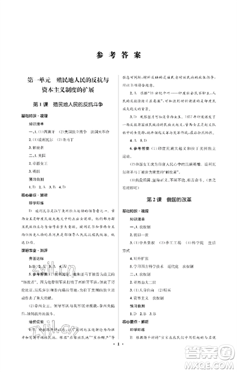 人民教育出版社2023人教金學典同步解析與測評學考練九年級世界歷史下冊人教版江蘇專版參考答案