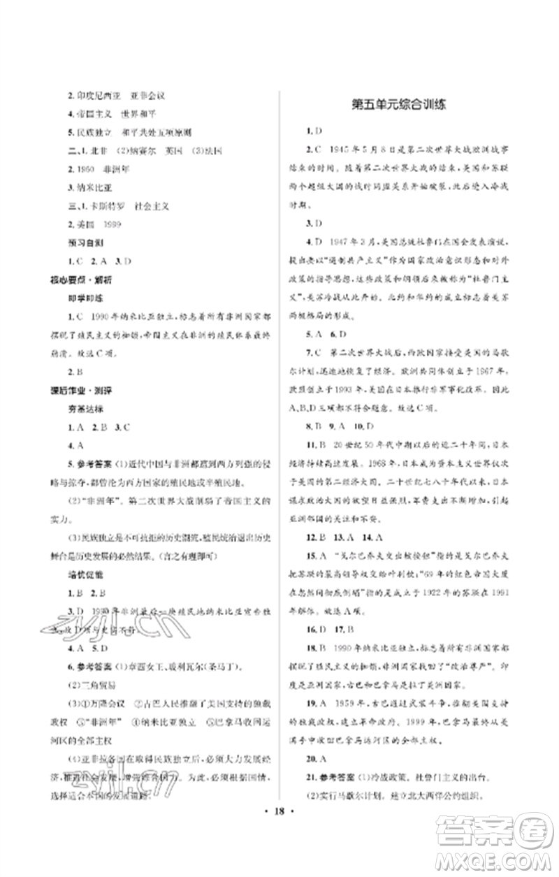 人民教育出版社2023人教金學典同步解析與測評學考練九年級世界歷史下冊人教版江蘇專版參考答案