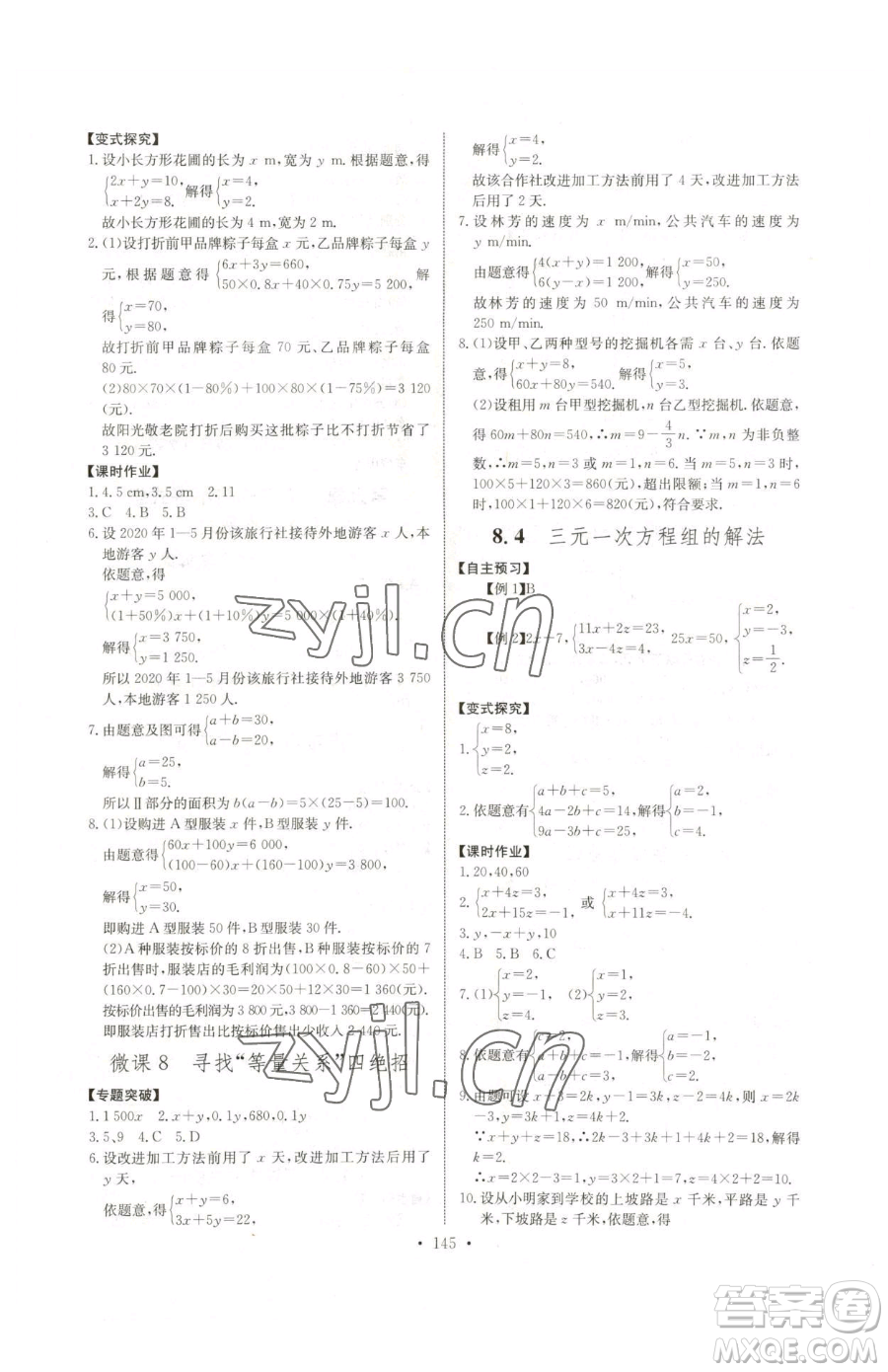 長江少年兒童出版社2023長江全能學案同步練習冊七年級下冊數(shù)學人教版參考答案