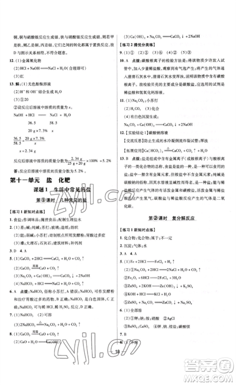 吉林教育出版社2023點撥訓(xùn)練九年級化學(xué)下冊人教版參考答案
