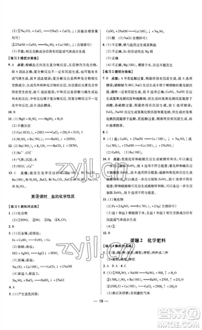 吉林教育出版社2023點撥訓(xùn)練九年級化學(xué)下冊人教版參考答案