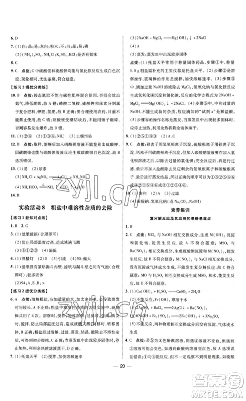 吉林教育出版社2023點撥訓(xùn)練九年級化學(xué)下冊人教版參考答案
