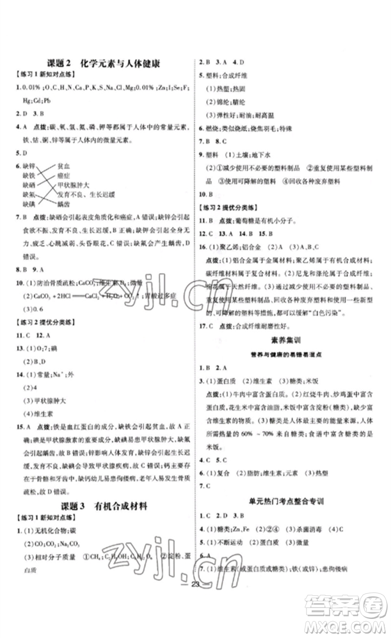 吉林教育出版社2023點撥訓(xùn)練九年級化學(xué)下冊人教版參考答案
