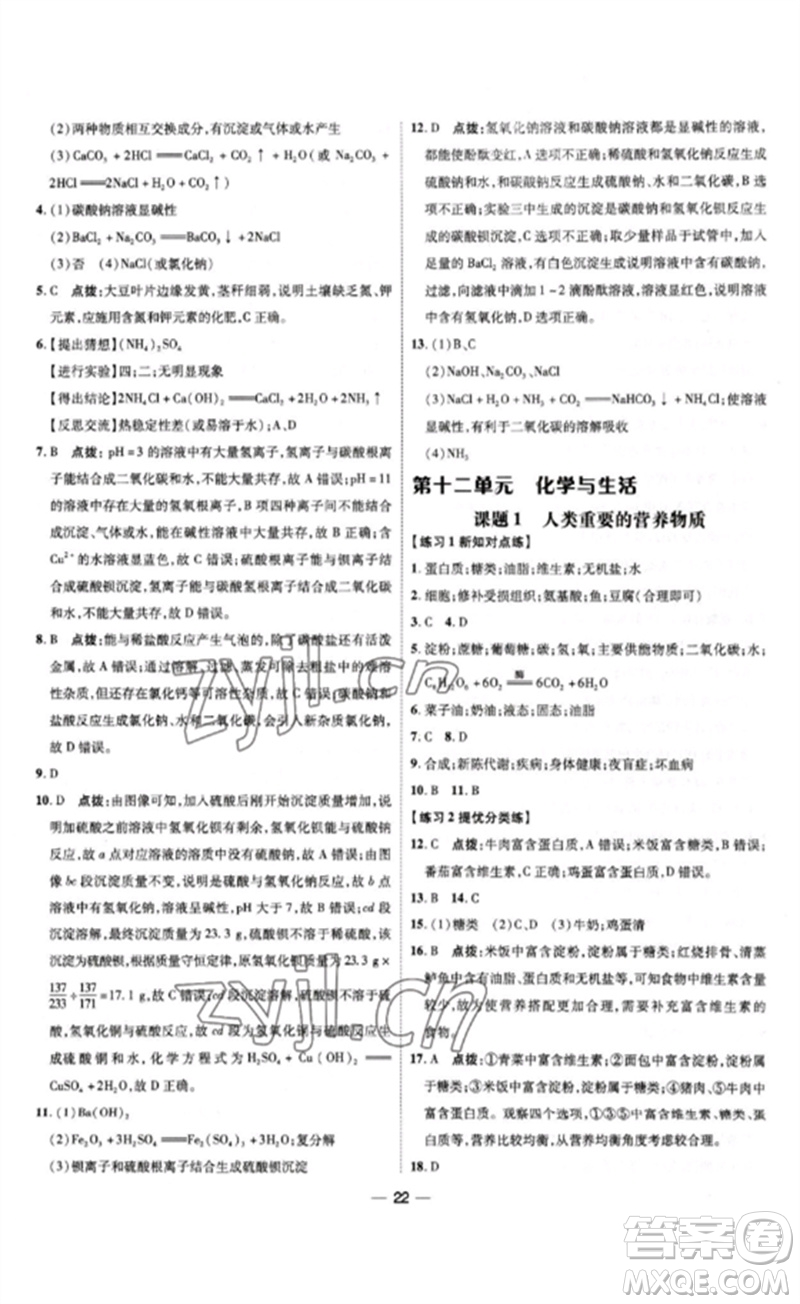 吉林教育出版社2023點撥訓(xùn)練九年級化學(xué)下冊人教版參考答案