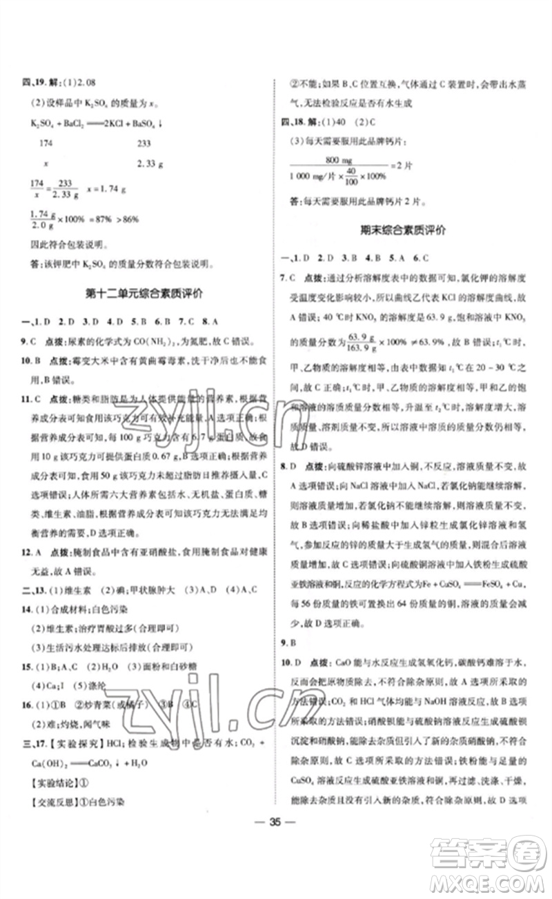 吉林教育出版社2023點撥訓(xùn)練九年級化學(xué)下冊人教版參考答案