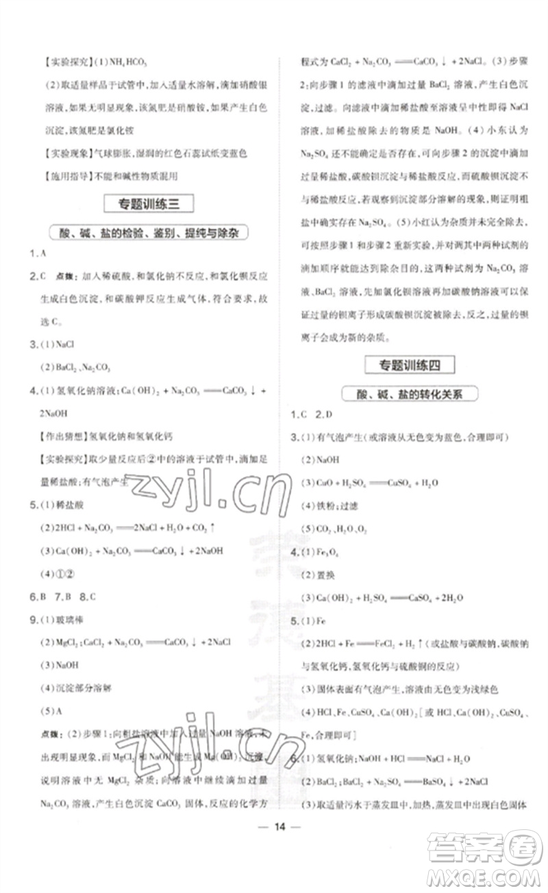 山西教育出版社2023點(diǎn)撥訓(xùn)練九年級(jí)化學(xué)下冊(cè)滬教版參考答案