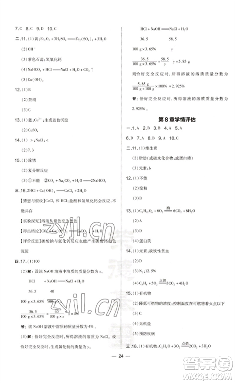 山西教育出版社2023點(diǎn)撥訓(xùn)練九年級(jí)化學(xué)下冊(cè)滬教版參考答案