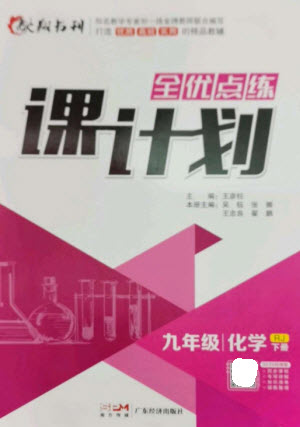 廣東經濟出版社2023全優(yōu)點練課計劃九年級化學下冊人教版參考答案